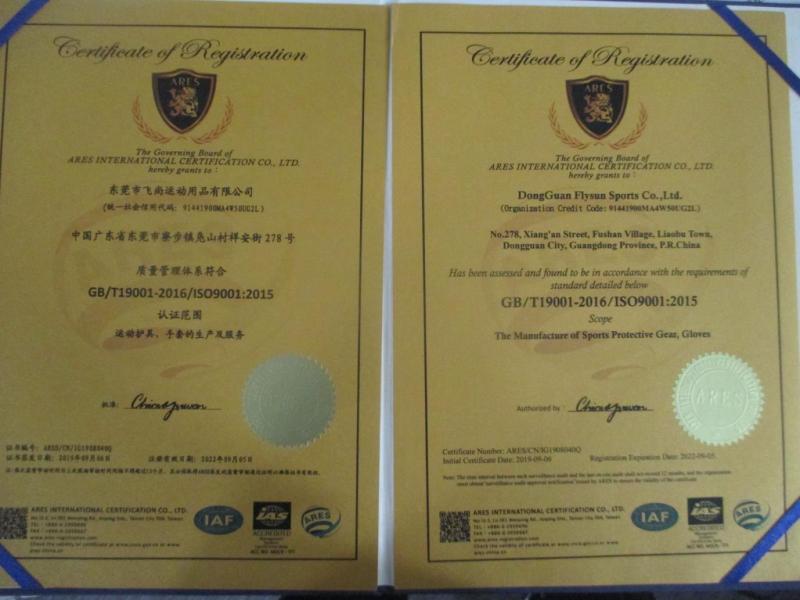 ISO9001 - Dongguan Flysun Sports Co., Ltd.