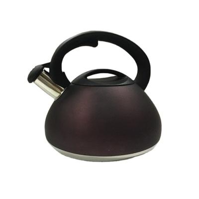 China New viable hot sale accept customization multi kettle stainless steel cheapest nordic chineese teapot for sale