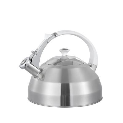 China Viable Accept Customization Water Stainless Steel Purple Kettle Whistling Kettle for sale