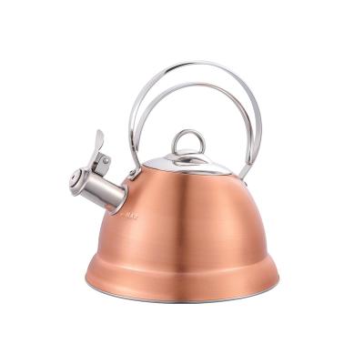 China Sustainable Best Selling Stainless Steel Kettle With Whistle for sale