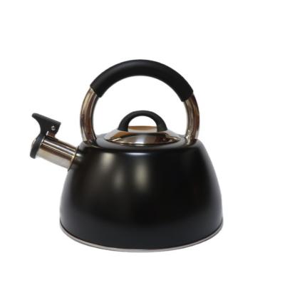 China Newest Sustainable Stainless Steel Tea Kettle Whistling Kettle for sale