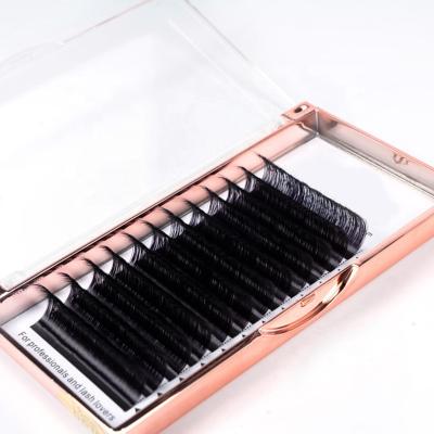 China High quality cheap silk eyelash extensions private label lash extensions synthetic hair factory price 6-25mm in Korea for sale