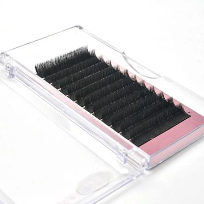 China The Synthetic Hair Wholesale Price Korean Individual Private Label Mink Eyelashes Extension Tray Highlights Extension for sale