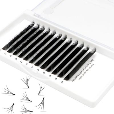 China Synthetic Hair Eyelash Extension Supplies Wholesale Easy Fanning 0.05D/13Length Eyelash Extensions For Eyelash Extensions Salon for sale