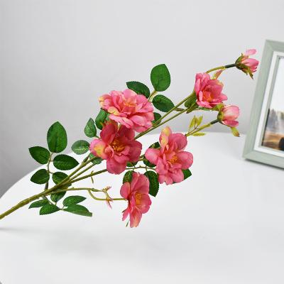 China Minimalist Artificial Flower Monthly Roses 7 Heads Wedding Decoration Home for sale