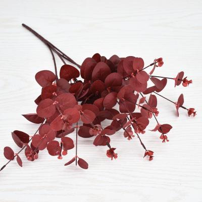 China Wholesale High Quality Minimalist Apple Eucalyptus Leaves Garden Plants Preserved Foliages Green Plants Eucalyptus Leaves for sale