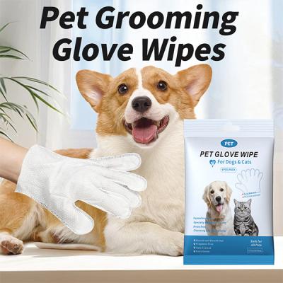 China 6pcs Non Toxic Lick Safe Dog Glove Wipes Portable Deodorizing Pet Glove Wipes for sale