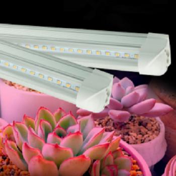 China FLOWER T8 600mm 1200mm 9W18W Low Price Wholesale And Durable Low Price Plant Growing Tube Light for sale