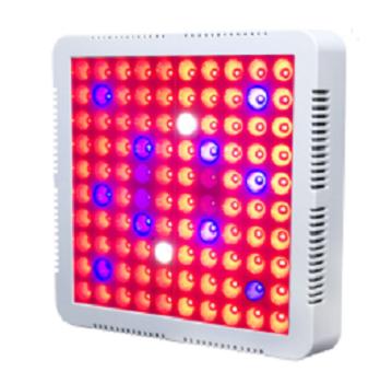 China FLOWER Factory Wholesale 600W 800W 1000W High Lumen LED Grow Light Bulb for sale