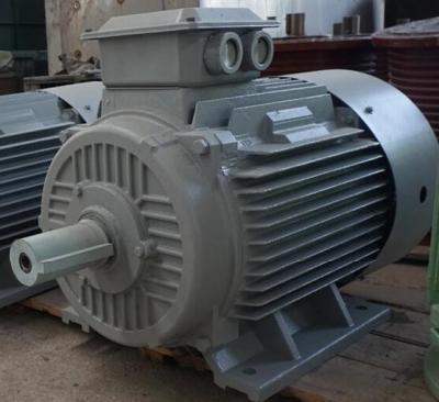 China IP54 Permanent Magnet Alternator Magnet Generator Energy Efficient for sale