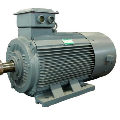 China Radial Flux Permanent Magnet Generator Alternator 220V 380V Eco Friendly for sale