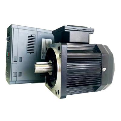 China Energy Efficient Rare Earth Permanent Magnet Synchronous Motor for sale