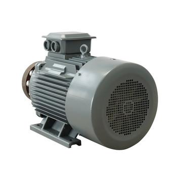 China 5-2000kw Rare Earth NdFeB Permanent Magnet Alternator China Factory for sale