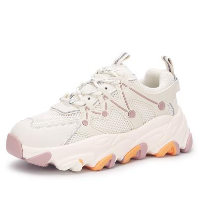 China 2021 Fashion Trend Latest Color Designed Multi Size Increasing Flat Heel Ladies Breathable Casual Shoes Sport Walking Sneakers for sale