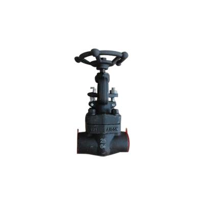 China New general developed hardware tools threaded gate valve / ball valve check valve with good price for sale