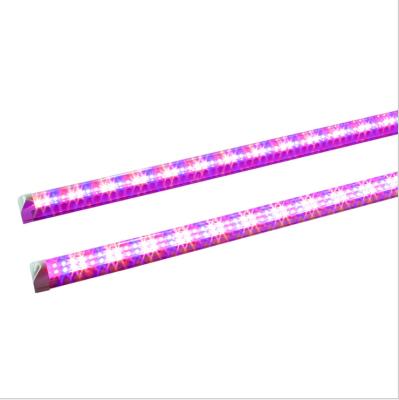 China Seed Starting Double Row 120cm Red And Blue Fleshy Vegetable Seedling Topping Light LED Plant Grow Lamp for sale