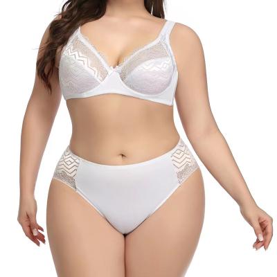 China Chinlon/comfortable sexy bra and nylon smooth ruffle panties set sexy underwear women's bar set for sale