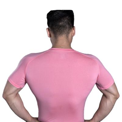 China High Elasticity Sports Fitness Round Neck Comfortable And Breathable Short Sleeve T-Shirt for sale