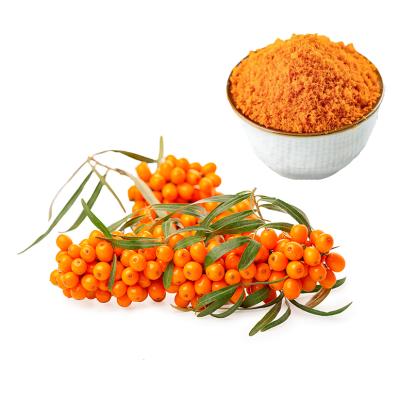 China Odorless Wholesale Seabuckthorn Sea Buckthorn Extract Powder for sale