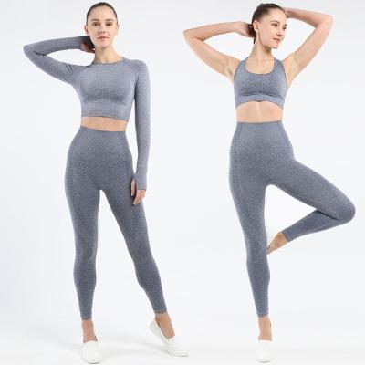 China Best Quality Breathable Fitness Clothing Ladies Promotional Women Outdoor Seamless Fitness Activewear Set for sale