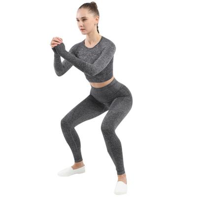 China Autumn Winter Seamless Sports Fitness Breathable Ladies Long Sleeve Yoga Clothing Set Quick Dry for sale