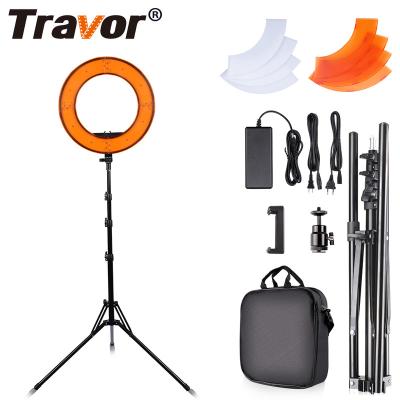 China Travor RL-12 196pcs 45w 3200k 5600k ABS Plastic+ two color filter fotografie makeup lamp ring light rechargeable led ringlight for tik tok for sale