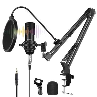 China Professional USB Microphone PULUZ Condenser Microphone Studio Show Singing Microphone Kits Microphone Recording Device for sale