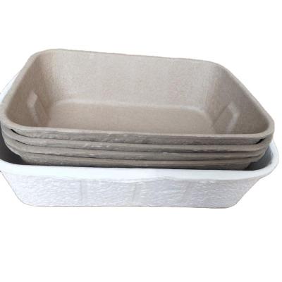 China Viable Biodegradable Disposable Molded Paper Pulp Cat Litter Tray/Box for sale