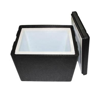 China Waterproof Eco-friendly Foam PPE-Vaccum Insulation Cooler Box Foamed With VIP-PU For Cold Chain Logistics for sale