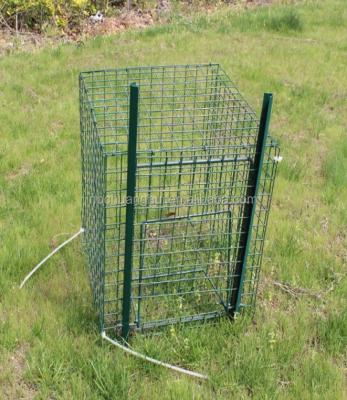 China Hot Selling Viable Arsen Magpie Trap Folding Galvanized Steel Pest Bird Cage Trap for sale