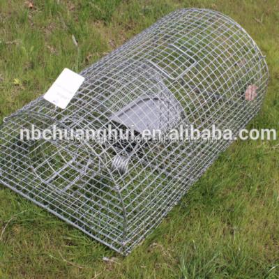 China Viable Monarch Live Catch Rat Trap Mouse Multi Cage41*23.5*18.5cm Rat Glue and Glue Trap for sale