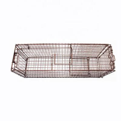 China Viable Live Animal Raccoon Dog Beaver Marten Woodchuck Cage Trap Powder Coating for sale