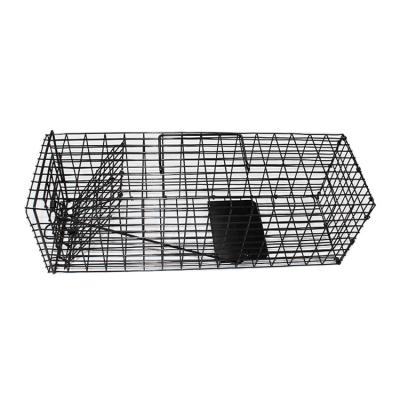 China < 20 Square Meters 2018 Hot Sale Pest Control Live Squirrel Raccoon Trap Animal Trap L41*H13*W13cm Funnel Trap Plant for sale