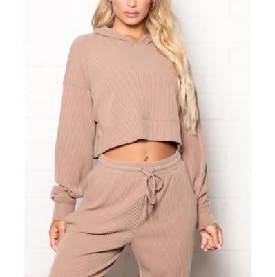 China Custom Anti-Wrinkle Women's Oversized Loose Soft Ribbed Top Cropped Sweatshirt Cropped Hoodie Long Sleeve Crop Top for sale