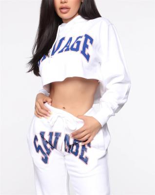 China Logo Women Sexy Fashionable Print Anti-wrinkle Custom Crop Topstreetwear Cropped Letter Hoodies for sale