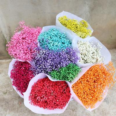 China Wholesale Party Baby's Breath Dried Flower Bouquet Plants Preserved Dried Flower For Decoration for sale