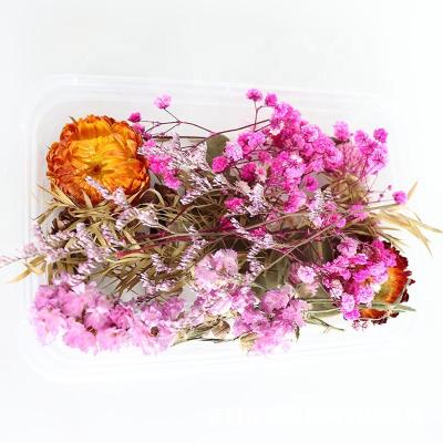 China Low MOQ RS-3209 Random Shipping Dried Flower Leaves Package Preserved Artificial Decorative Flowers For Wedding Home DIY for sale