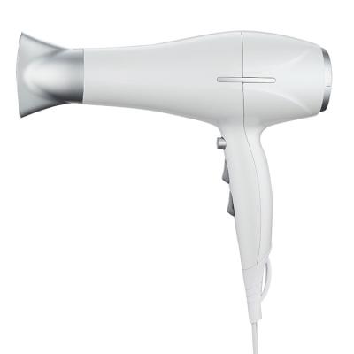 China New Design Ionic Salon White Hooded Professional Hair Dryer Dc Hair Dryer With Ionic And Induction Function à venda