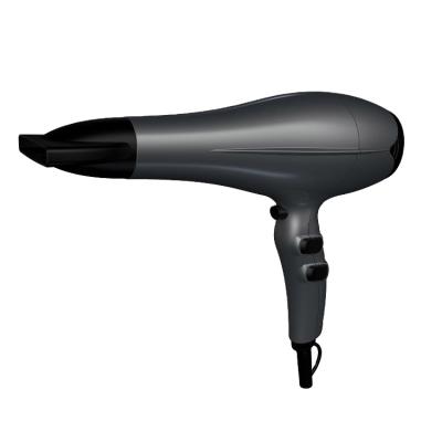 China BLDA High Quality Motor Hand Ionic Hot Selling Hair Dryer Professional Salon On Sale à venda