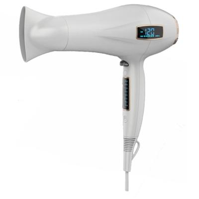 China Professional and Household Appliance Hair Salon DC Motor 2200W Power LED Display Touch Sense Ionic Hair Dryer for sale