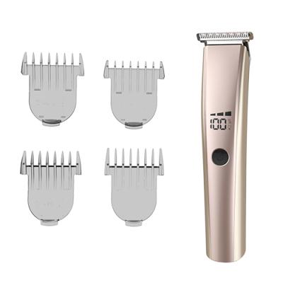 China Mini Size Portable Professional Cordless Hair Trimmer Personal Electric Hair Trimmer For Men for sale