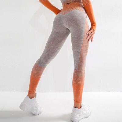 China Women's best-selling breathable sexy yoga panties high waisted yoga pants leggings yoga pants the best for sale