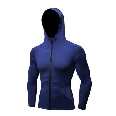 China QUICK DRY Men's Autumn And Winter Sports Fitness Long Sleeve Zipper Leisure Hoodie Running Training Quick Drying Coat for sale