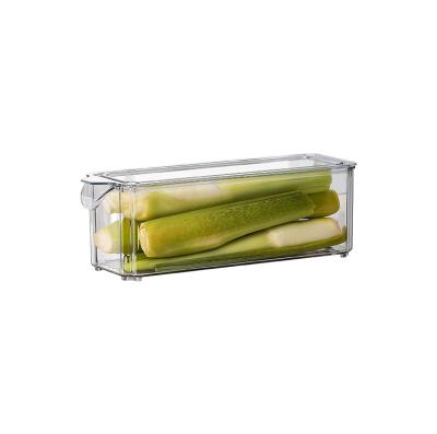 China Durable High Quality Vegetable Fridge Organizer Box Plastic Food Crisper Storage Boxes for sale