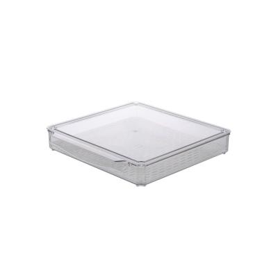 China Durable Plastic Meat Food Organizer Containers Food Storage Box Crisper Plastic for sale