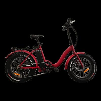 China /7 speed fat tire electric aluminum alloy folding bicycle pedelec 250w lady with front suspension for sale