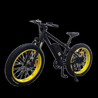 China Aluminum Alloy 26 Inch Mountain Bike 750W Motor Snow Bike 12.6Ah Lithium Battery Electric Bicycle for sale