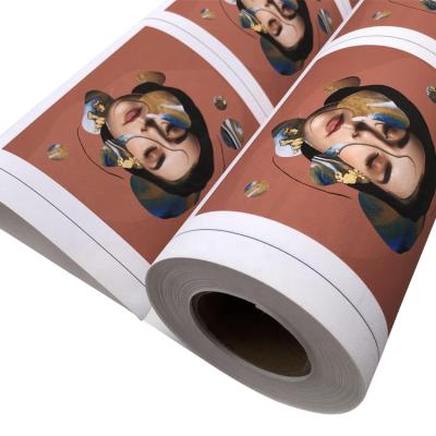 China Inkjet Printing Polyester Canvas 230gsm Waterproof Canvas 300D*300D Good Quality Printing Inkjet Matte Canvas for sale