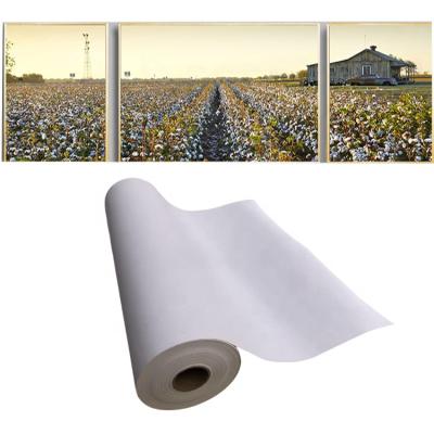 China Inkjet Printing Artist 100% Matt Cotton Canvas Roll Inkjet Printing Art Paint Blank Canvas 360gsm for sale