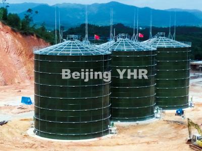 China Anti Bacteria Biogas Digester Alkalinity Tolerance PH 1-14 For CSTR Reactor for sale